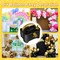 Balloon Pump Electric, Portable Balloon Inflator Pump Electric Air Pump for Balloons Dual Nozzle Electric Balloon Pump for Birthday Wedding Graduation Party Decorations